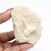 Fossil otodus hajtand - 2