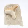 Otodus hajtand - 0