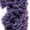 Kalcedon klase av druvor - 11