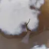 Naturlig agatsten - 7