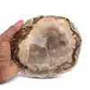 Fossilt trä - 0