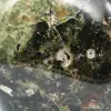 Naturlig dekorativ krysopras - 6