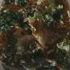 Naturlig krysopras - 6
