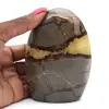 Polerad Septaria-sten från Madagaskar - 0