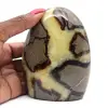 Rock i naturliga Septaria - 0