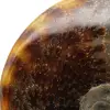 Naturlig helpolerad ammonit från Madagaskar - 4