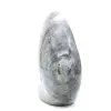 Polerad Spectrolite Freeform - 3