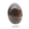 Svart månstensägg - 1