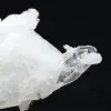 Himalaya kvarts - 5