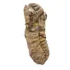 Trilobite från Marocko - 2