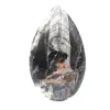 Orthoceras fossil från Marocko - 1