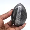 Polerad Orthoceras Fossil - 0