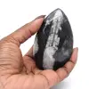 Orthoceras fossil från Marocko - 2