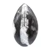 Polerade Orthoceras - 1