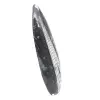 Orthoceras fossil från Marocko - 3