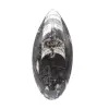 Orthoceras fossil Marocko - 1