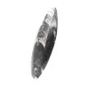 Orthoceras fossil Marocko - 2