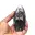 Orthoceras fossil från Marocko — 4