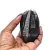 Orthoceras fossil från Marocko - 5