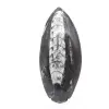 Orthoceras av Marocko - 1