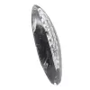 Orthoceras av Marocko - 3