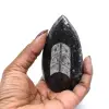 Orthoceras fossil från Marocko - 8