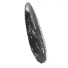 Polerad Orthoceras Fossil - 3