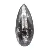 Orthoceras fossil Marocko - 1