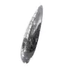 Orthoceras fossil Marocko - 2