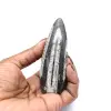 Orthoceras fossil från Marocko - 0