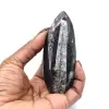Orthoceras fossil från Marocko - 0
