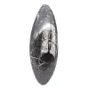 Orthoceras fossil - 1