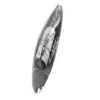 Orthoceras fossil - 2