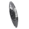 Orthoceras fossil - 3