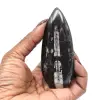 Orthoceras fossil - 0