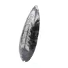 Polerade Orthoceras - 2