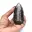 Orthoceras fossil från Marocko — 13