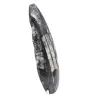 Orthoceras fossil Marocko - 3