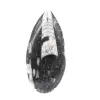 Orthoceras fossil från Marocko - 1