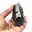 Orthoceras fossil från Marocko — 15