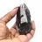 Orthoceras fossil från Marocko
