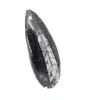 Orthoceras fossil - 3