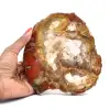 Fossilt trä - 0