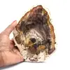 Naturlig fossiliserad träskiva - 0