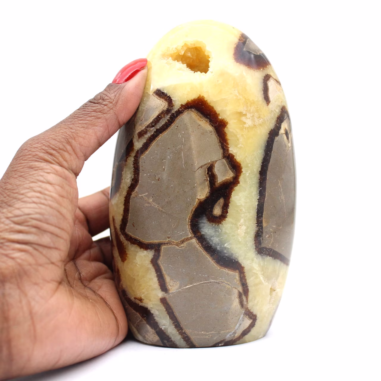 Polerad Septarian Stone