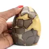 Septarian sten - 0
