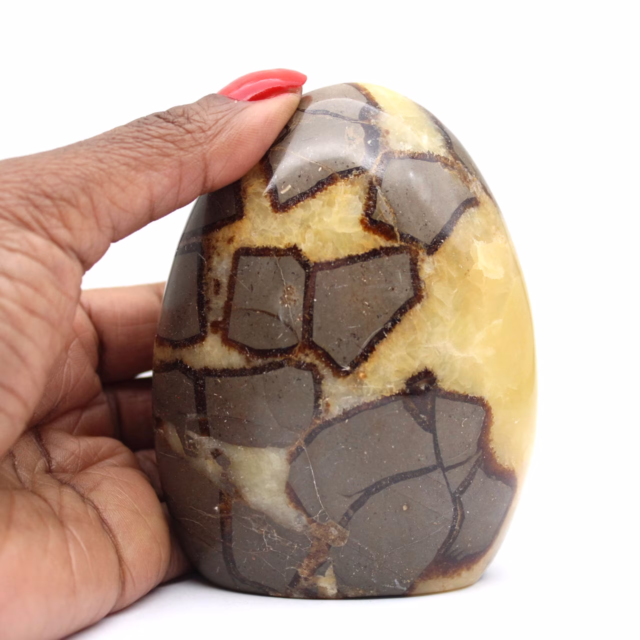 Septarian sten
