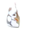 Agat - 3