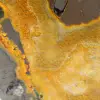 Polerad humlejaspis: Ursprung Indonesien - 8