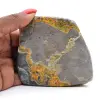 Humlajaspis-ornament: Exceptionell mineralogi - 0